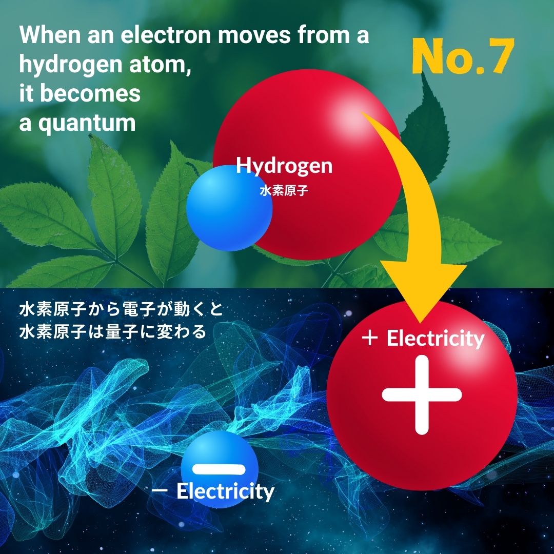 No.7